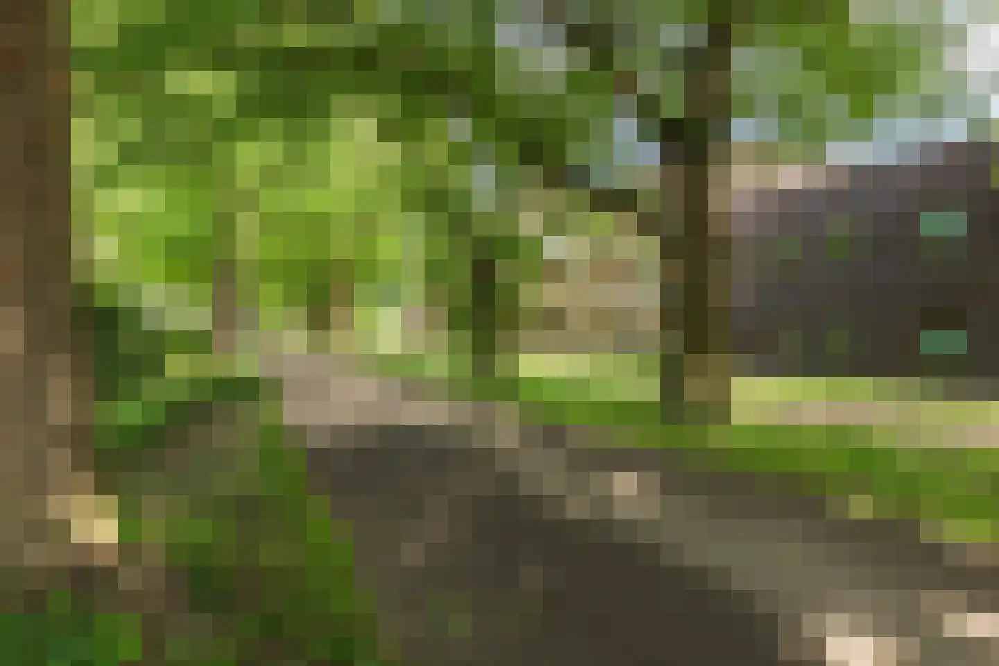 Drongelenhof 8 Tilburg thumbnail 49