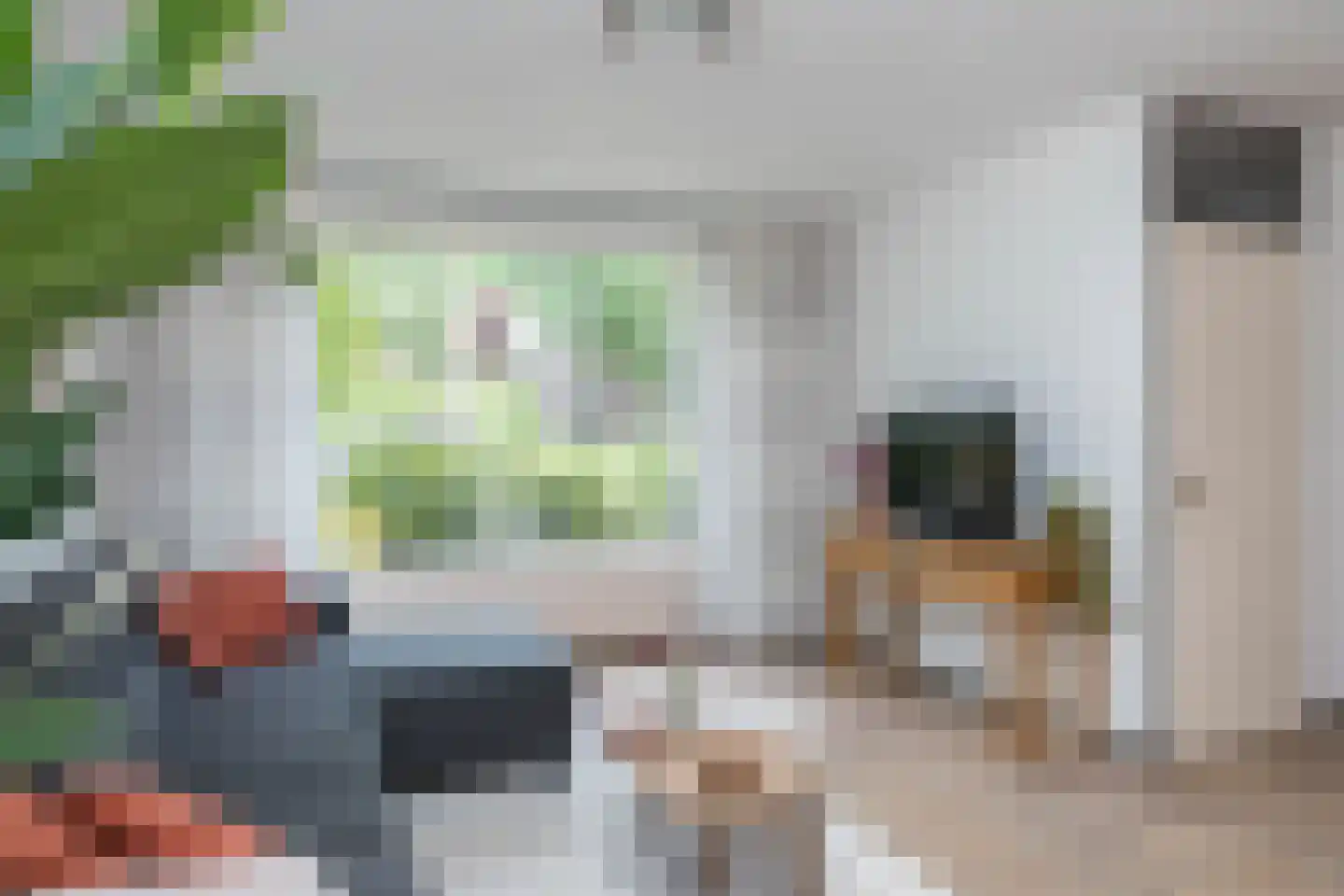 Drongelenhof 8 Tilburg thumbnail 8