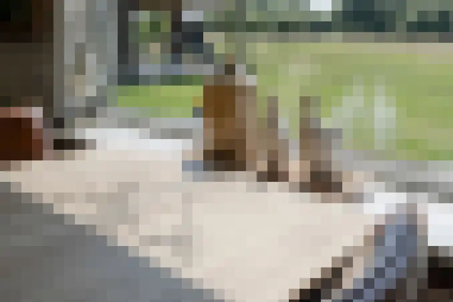 Dronkelaarseweg 29 Terschuur thumbnail 17