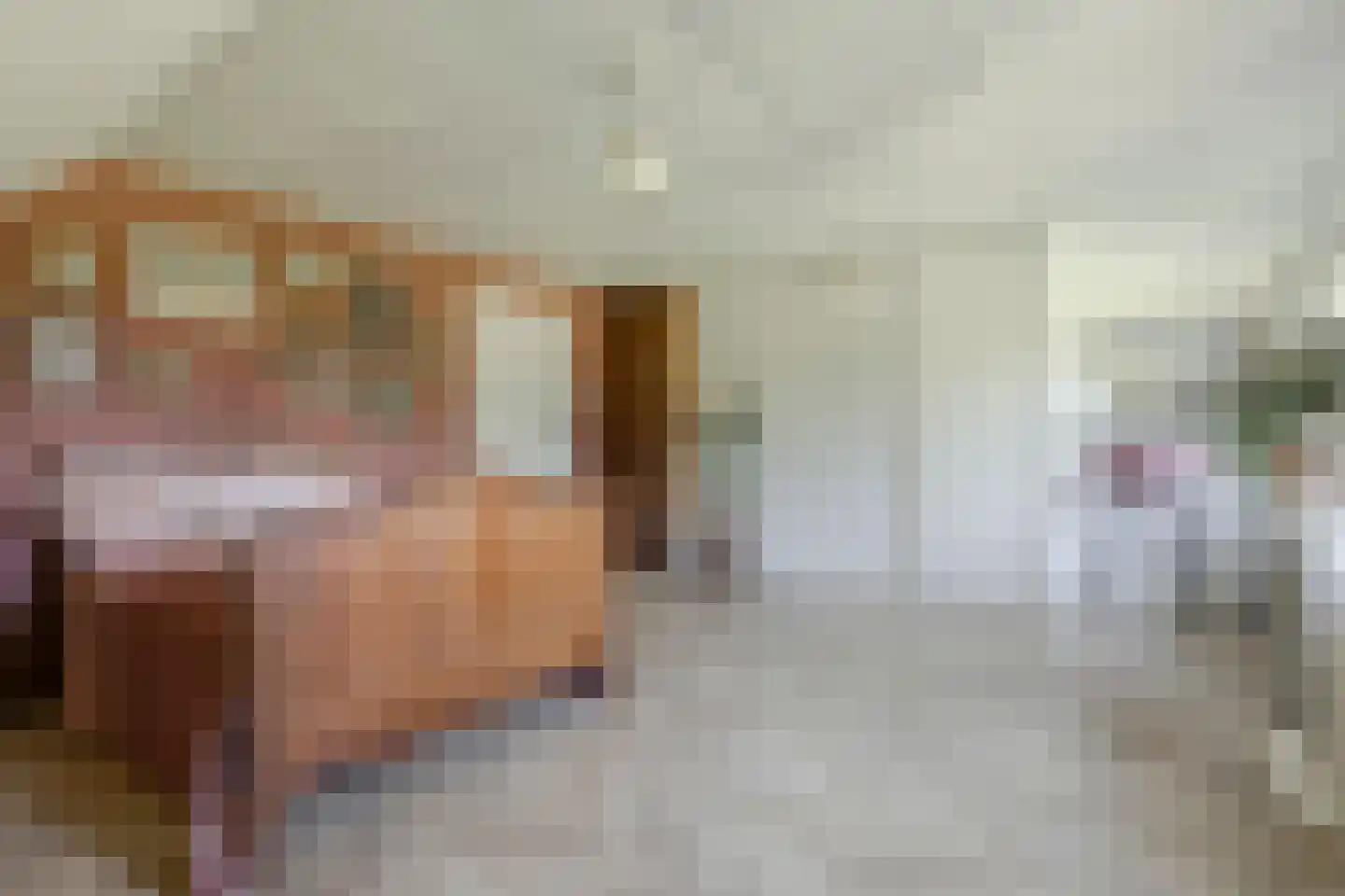 Dronkelaarseweg 29 Terschuur thumbnail 32