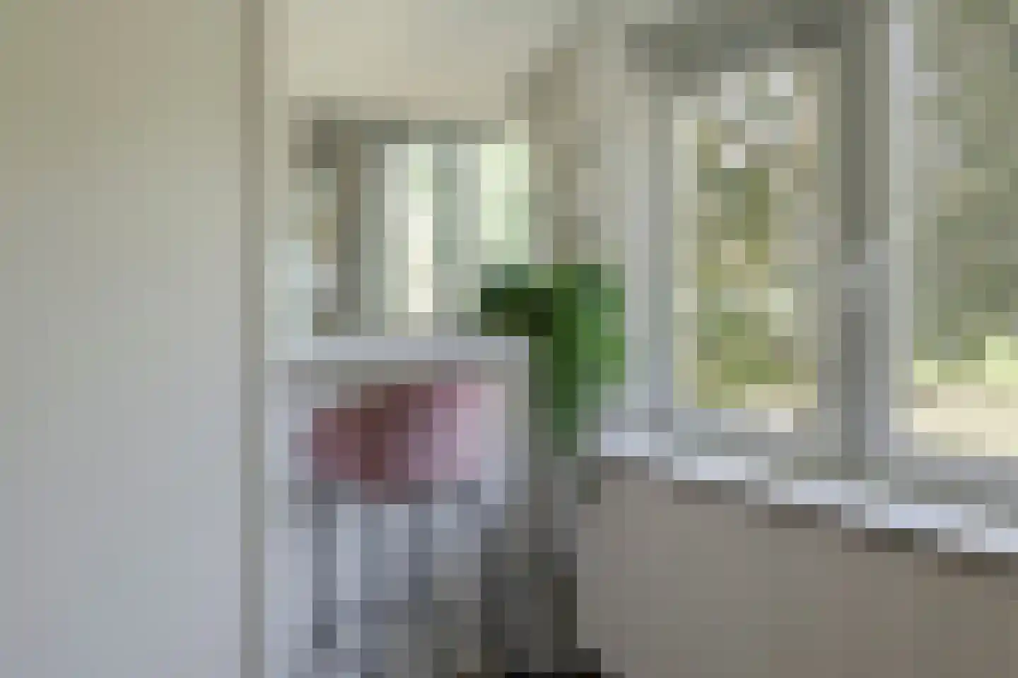 Dronkelaarseweg 29 Terschuur thumbnail 33