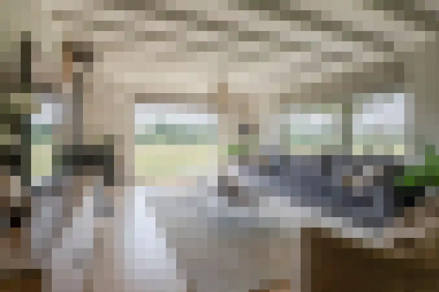 Dronkelaarseweg 29 Terschuur thumbnail 6