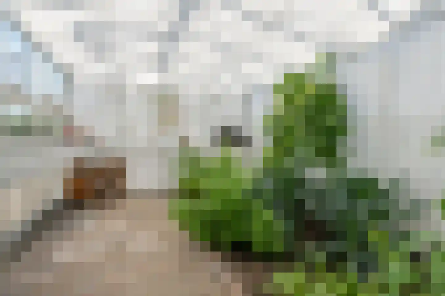 Dronkelaarseweg 29 Terschuur thumbnail 60
