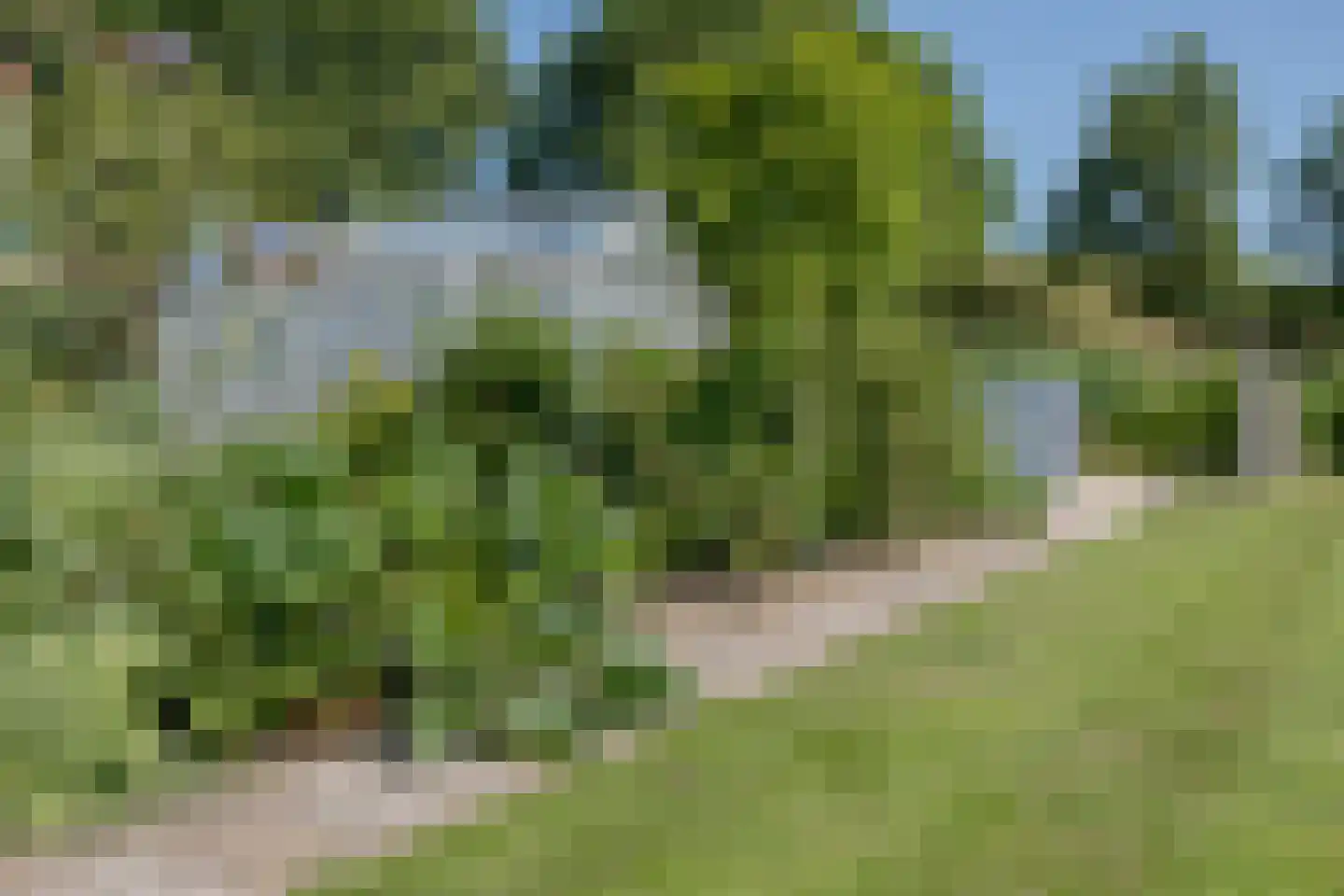 Dronkelaarseweg 29 Terschuur thumbnail 62