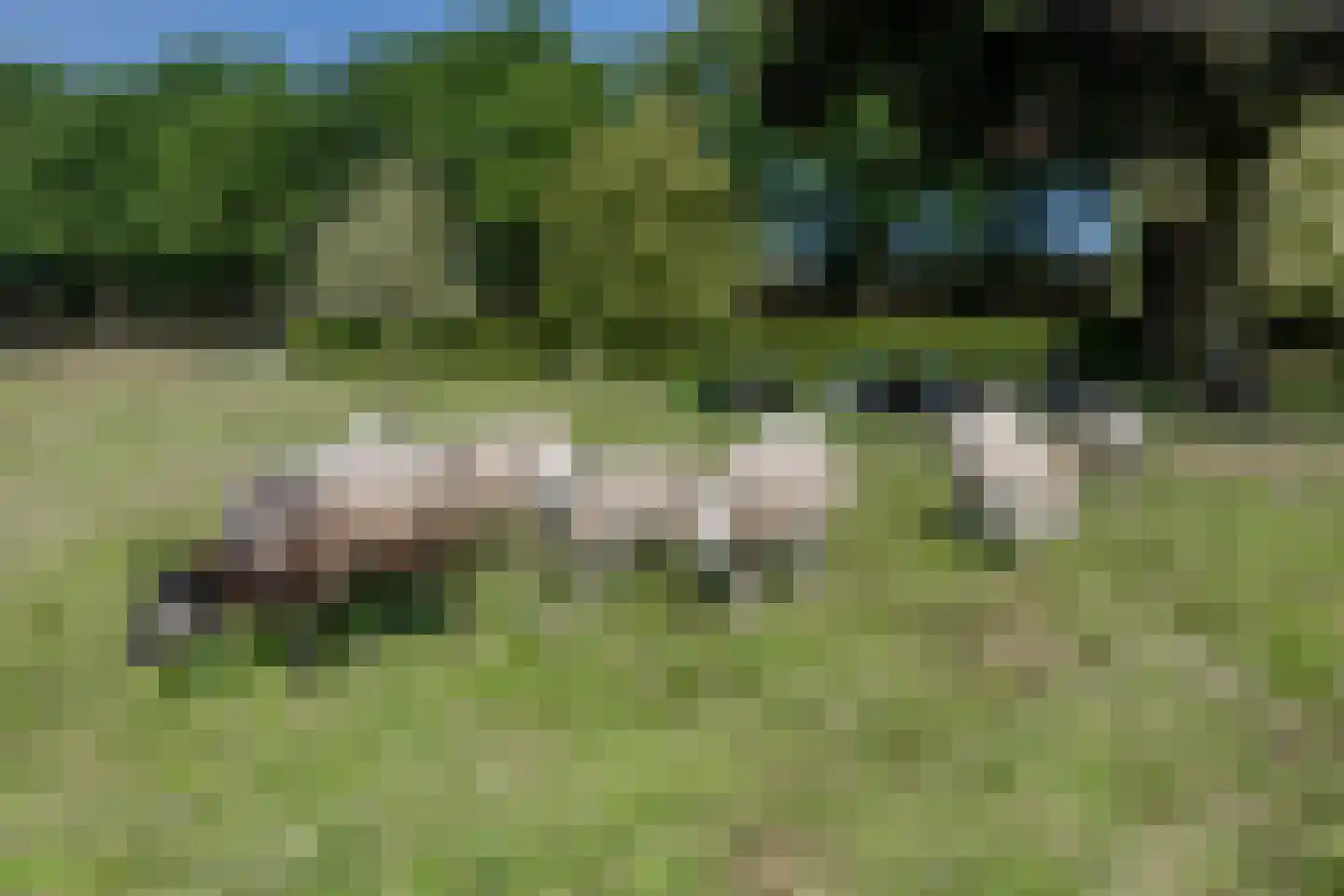 Dronkelaarseweg 29 Terschuur thumbnail 70
