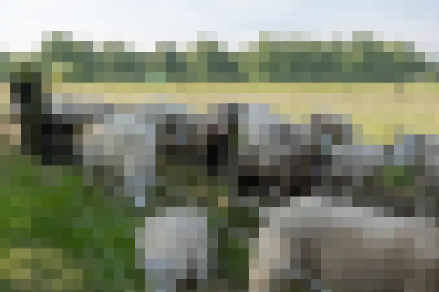 Dronkelaarseweg 29 Terschuur thumbnail 73