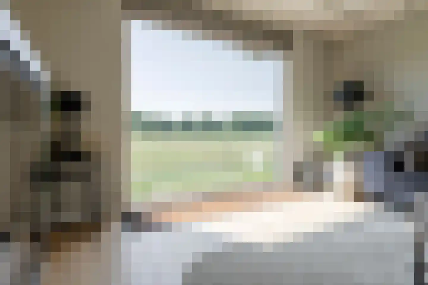 Dronkelaarseweg 29 Terschuur thumbnail 8