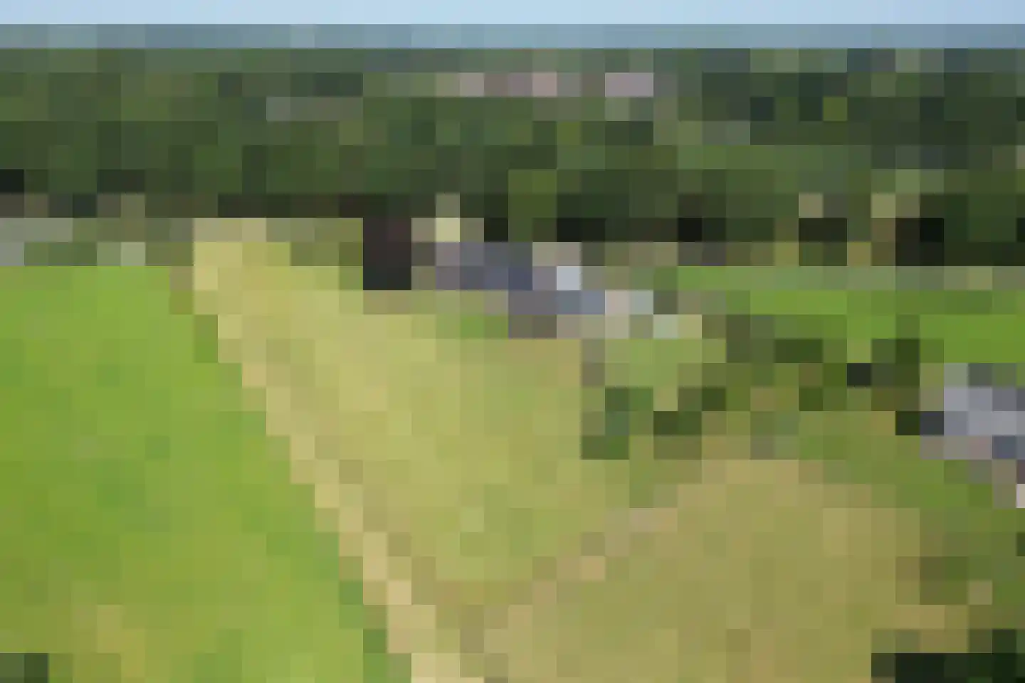 Dronkelaarseweg 29 Terschuur thumbnail 85