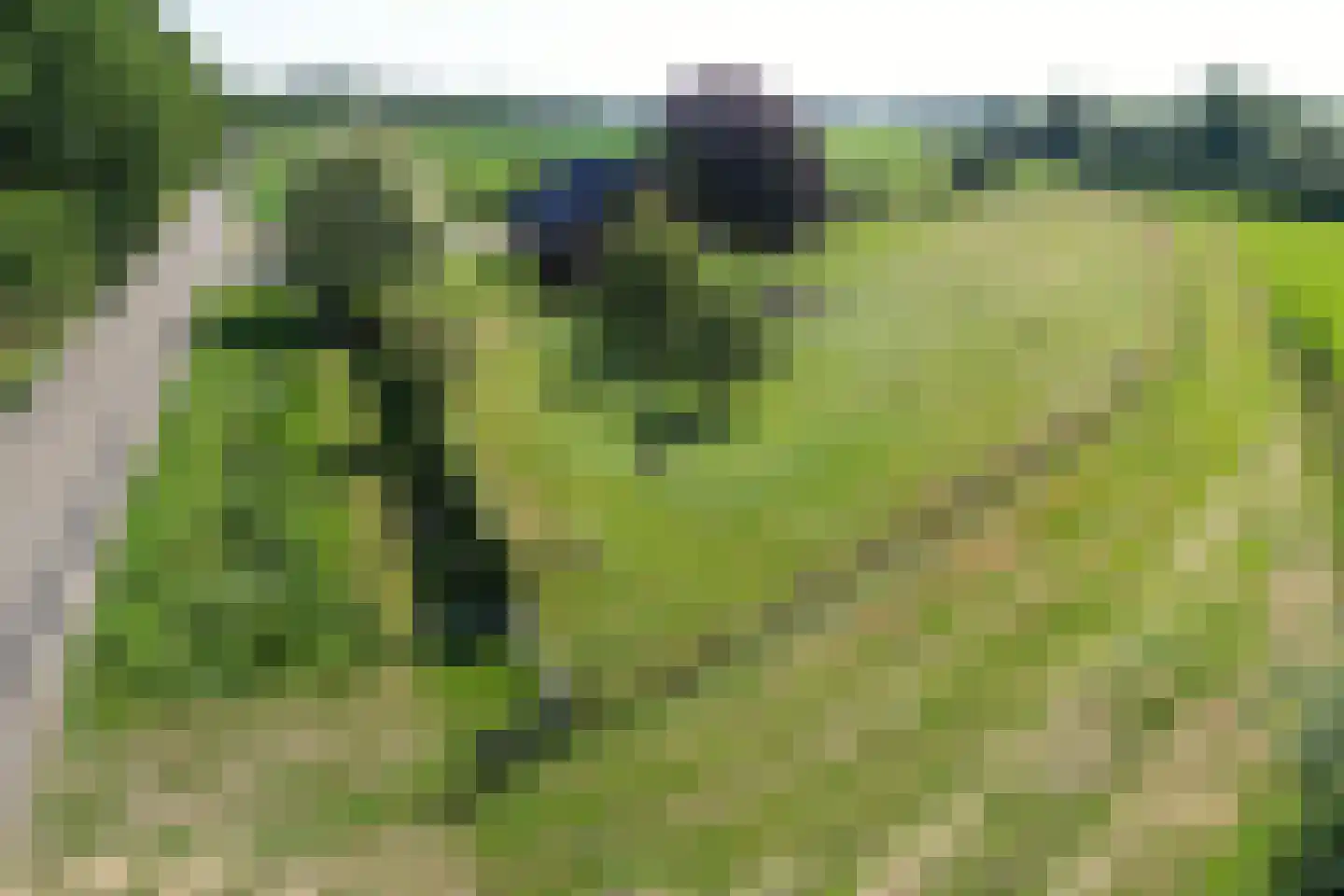 Dronkelaarseweg 29 Terschuur thumbnail 86