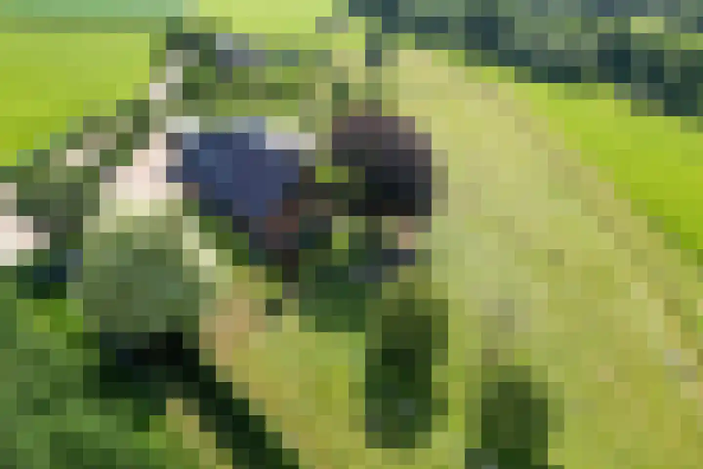 Dronkelaarseweg 29 Terschuur thumbnail 87