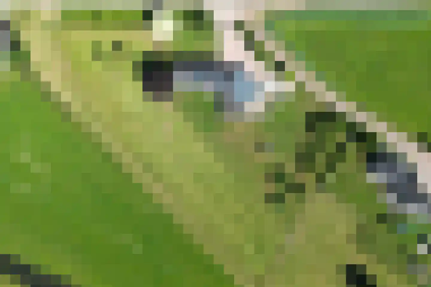 Dronkelaarseweg 29 Terschuur thumbnail 88