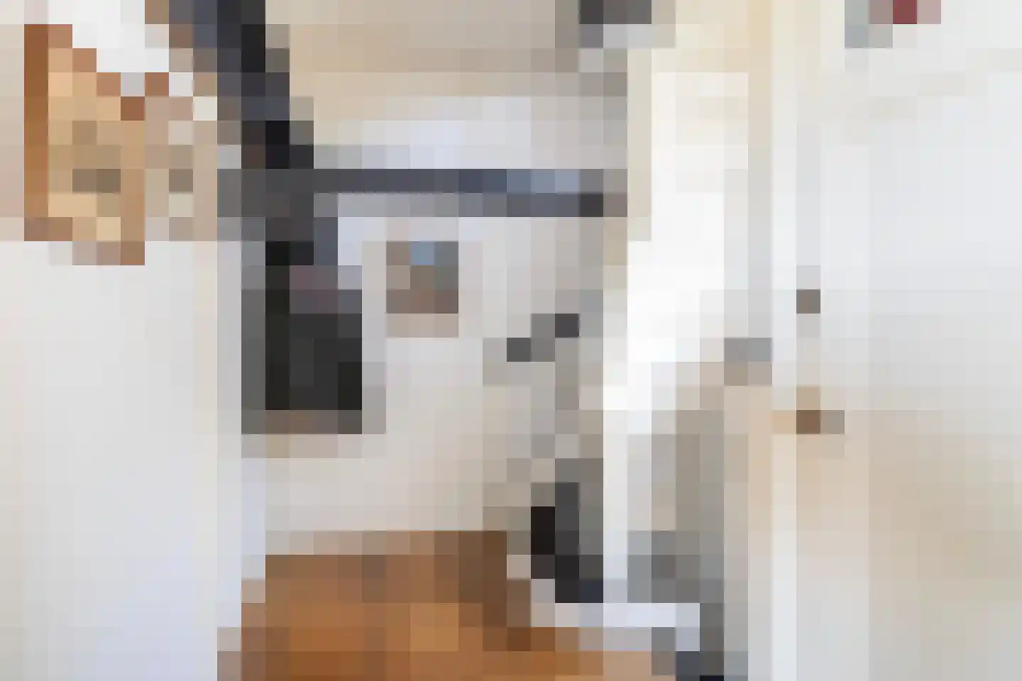 Dronrijperstraat 3 Leeuwarden thumbnail 39