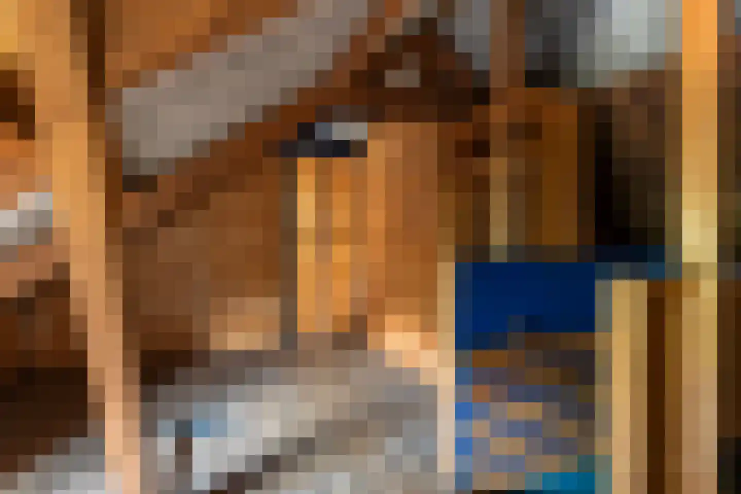 Dronrijperstraat 3 Leeuwarden thumbnail 55
