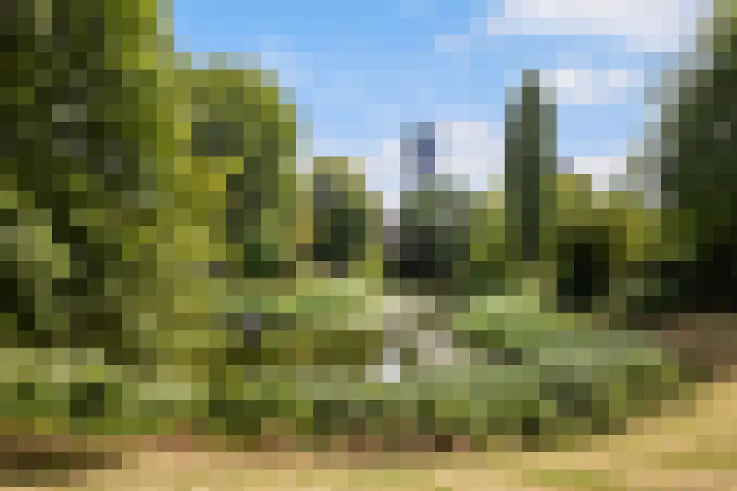 Dronrijperstraat 3 Leeuwarden thumbnail 62