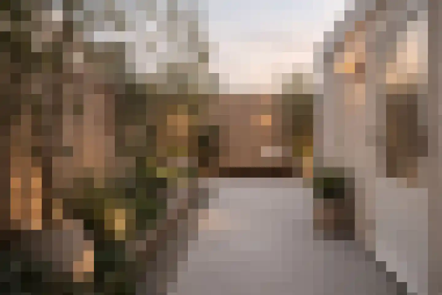 Dronrijperstraat 32 Leeuwarden thumbnail 5