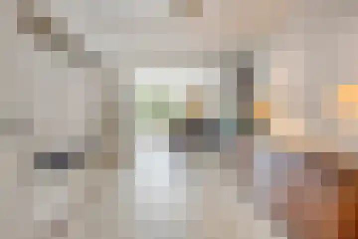 Drontenhof 11 Tilburg thumbnail 13