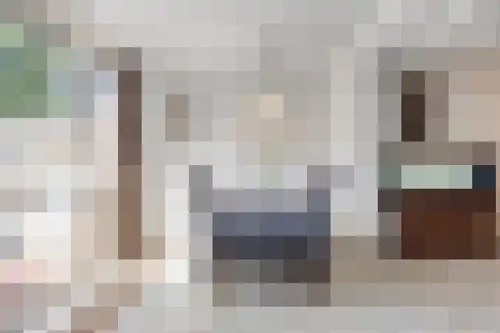 Drontenhof 11 Tilburg thumbnail 15