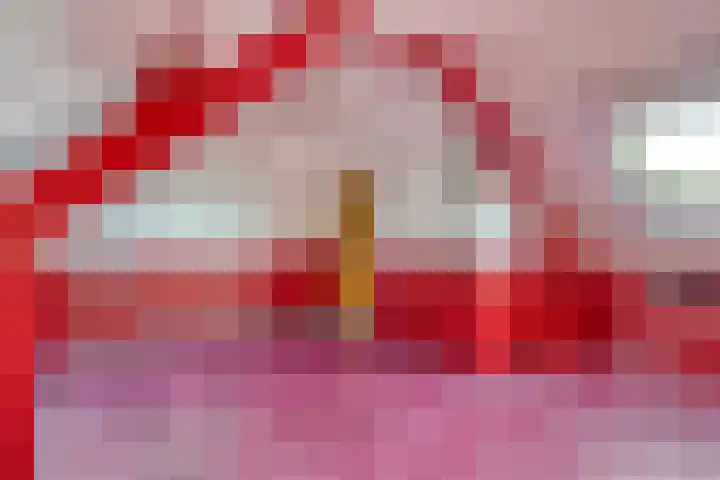 Drontenhof 11 Tilburg thumbnail 37