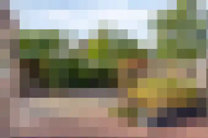 Drontenhof 11 Tilburg thumbnail 38