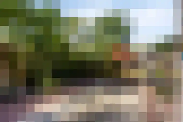 Drontenhof 11 Tilburg thumbnail 39