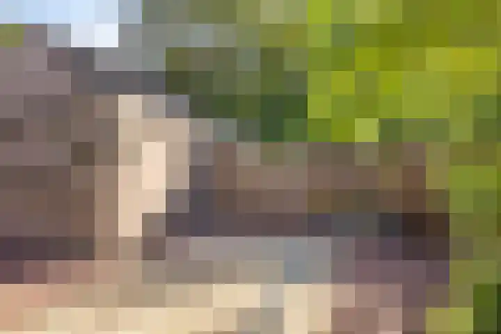 Drontenhof 11 Tilburg thumbnail 41