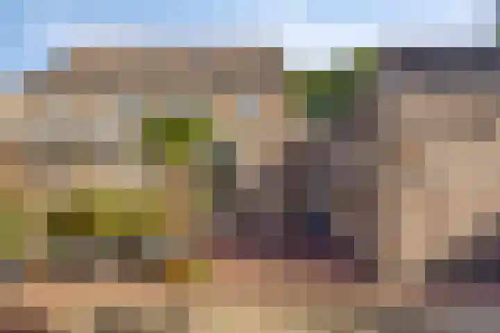 Drontenhof 11 Tilburg thumbnail 42