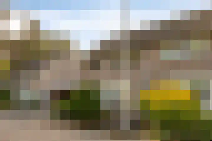 Drontenhof 11 Tilburg thumbnail 46