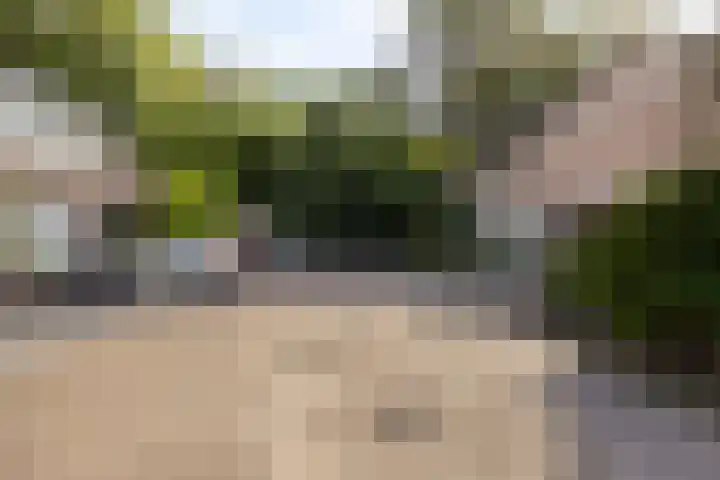 Drontenhof 11 Tilburg thumbnail 48