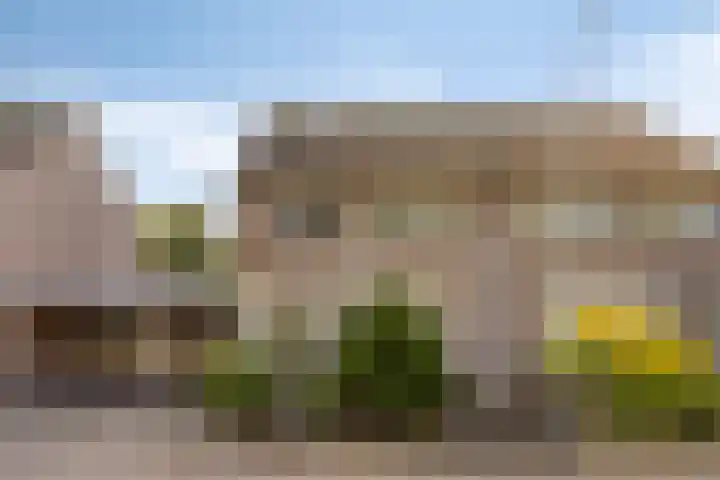 Drontenhof 11 Tilburg thumbnail 5