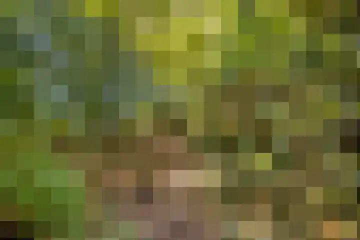 Drontenhof 11 Tilburg thumbnail 50