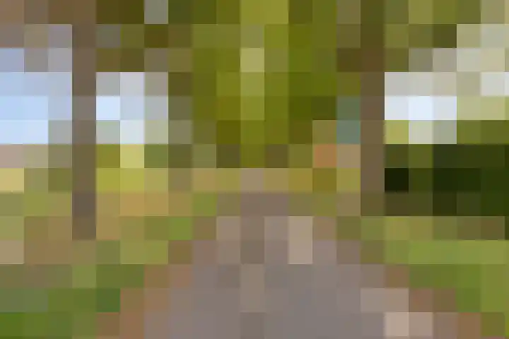 Drontenhof 11 Tilburg thumbnail 51