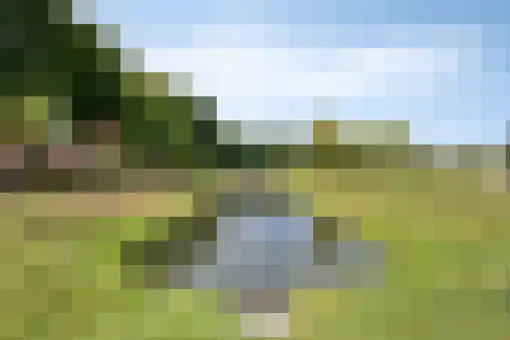 Drontenhof 11 Tilburg thumbnail 52