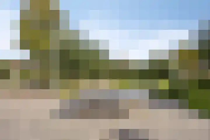 Drontenhof 11 Tilburg thumbnail 54