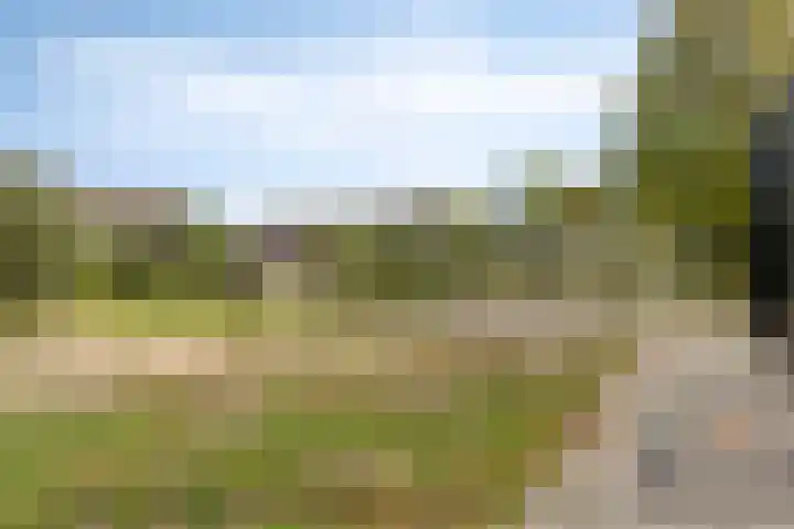 Drontenhof 11 Tilburg thumbnail 55