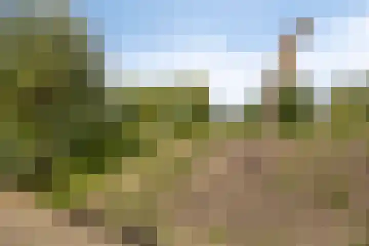 Drontenhof 11 Tilburg thumbnail 56