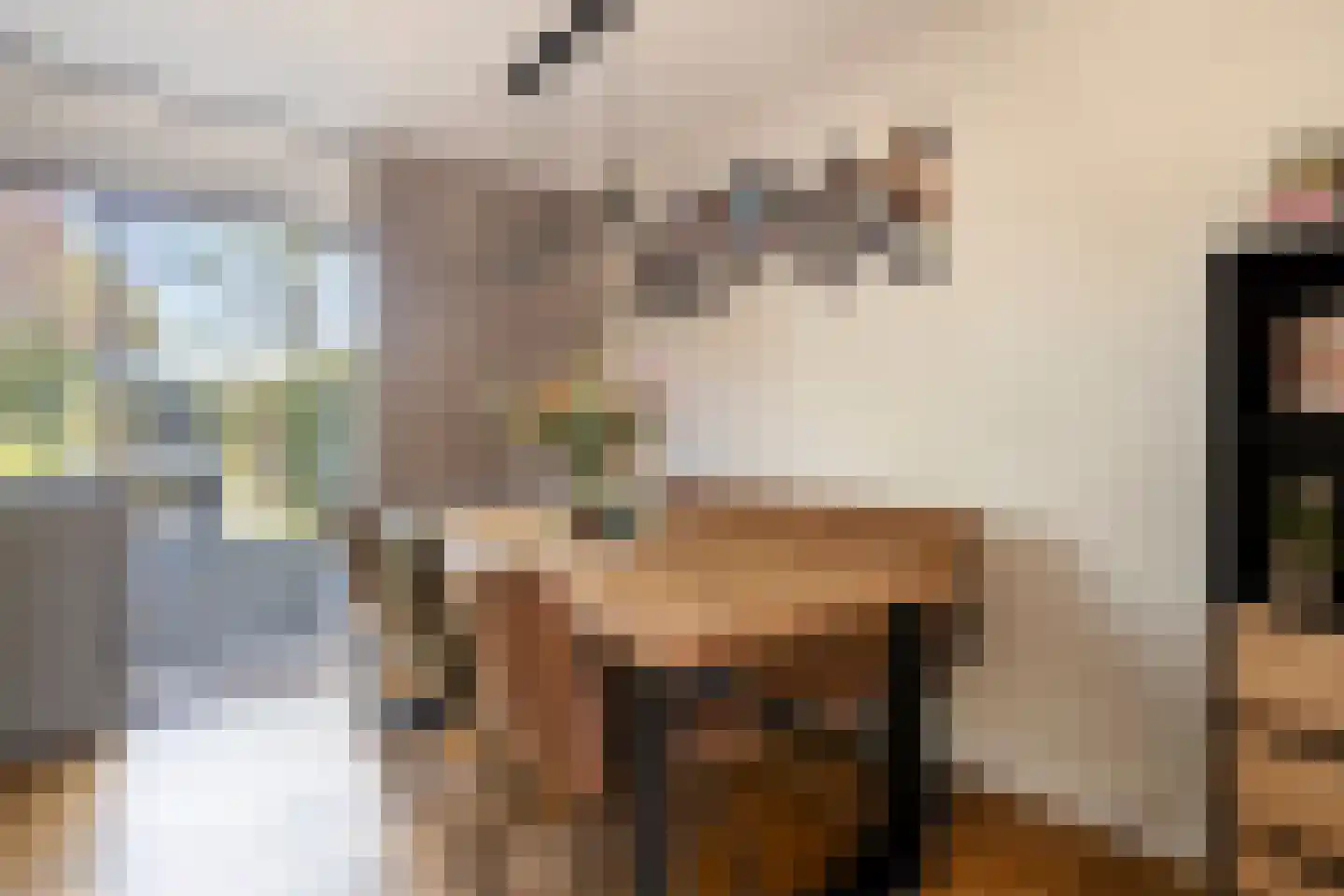 Drontenhof 5 Tilburg thumbnail 17