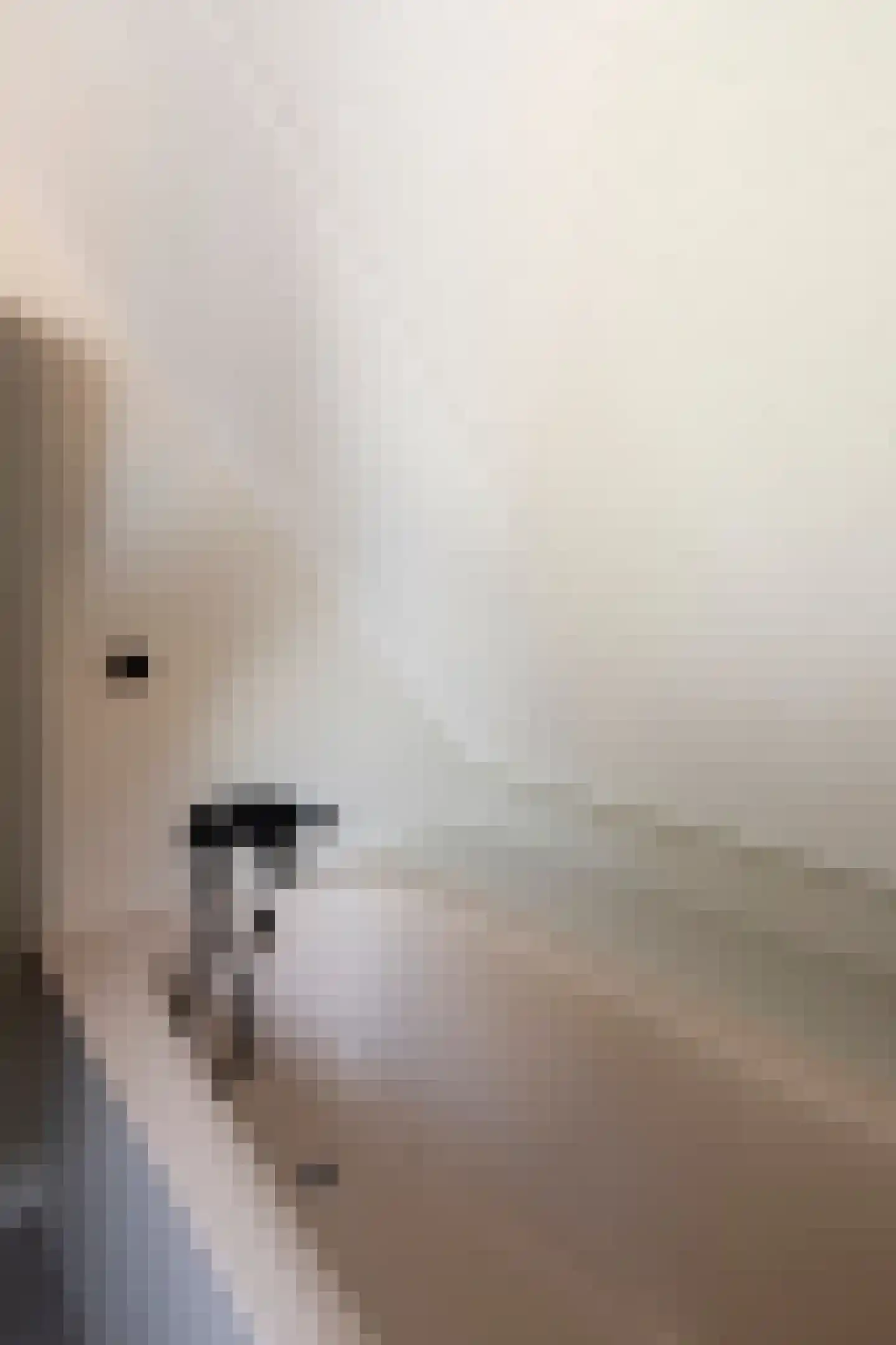 Drontenhof 5 Tilburg thumbnail 32