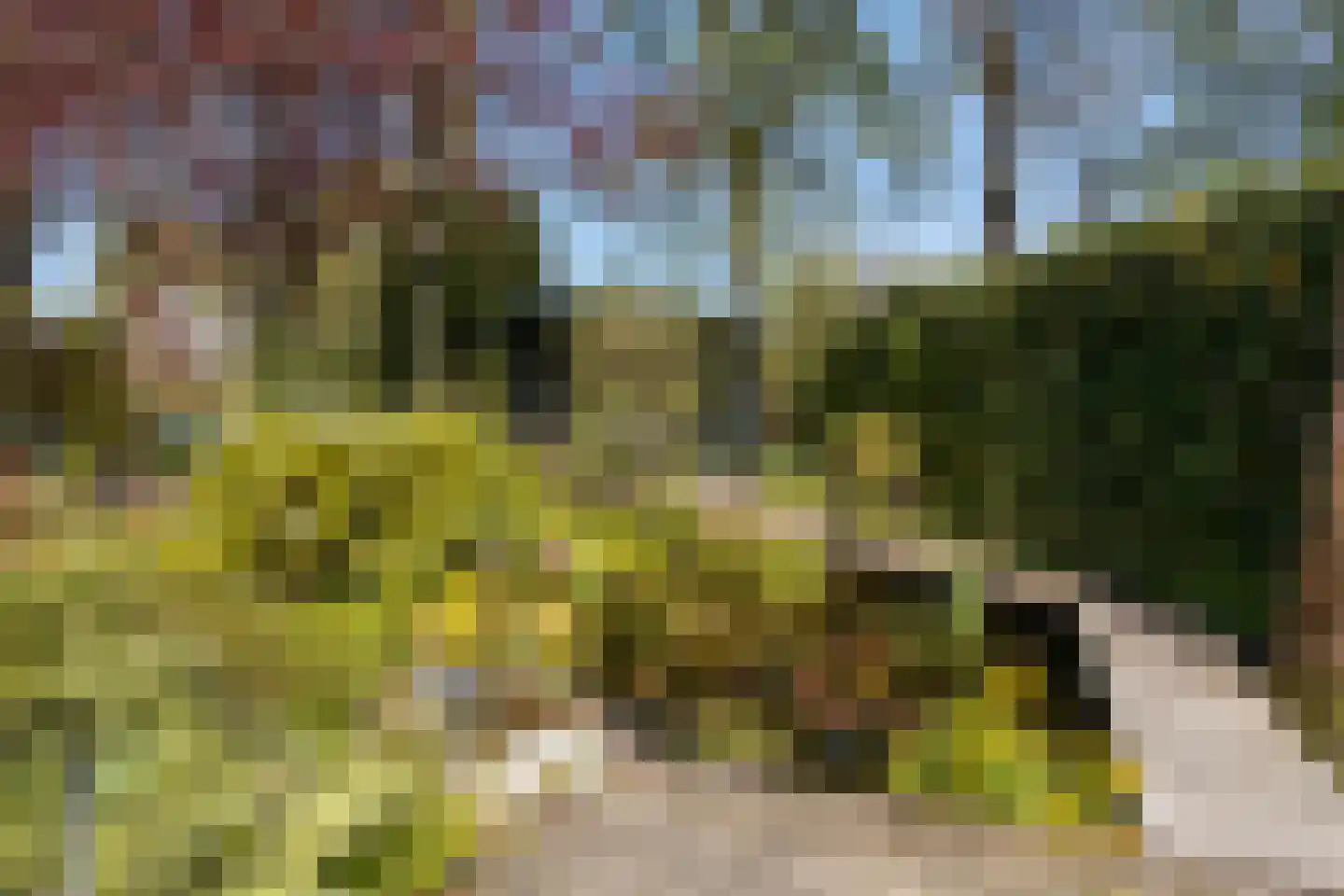 Drontenhof 5 Tilburg thumbnail 45