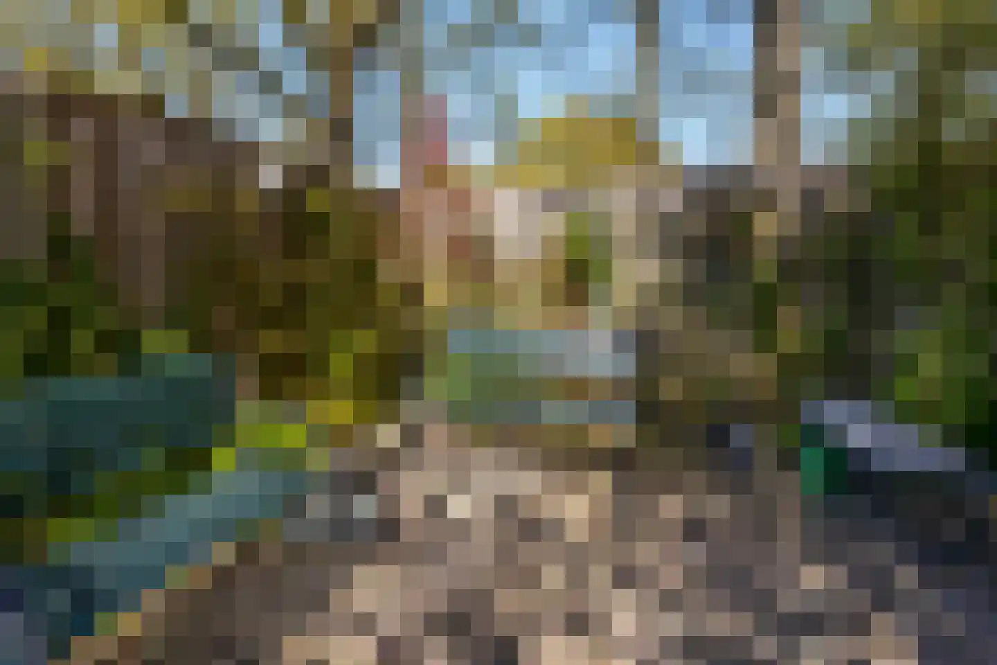 Drontenhof 5 Tilburg thumbnail 46