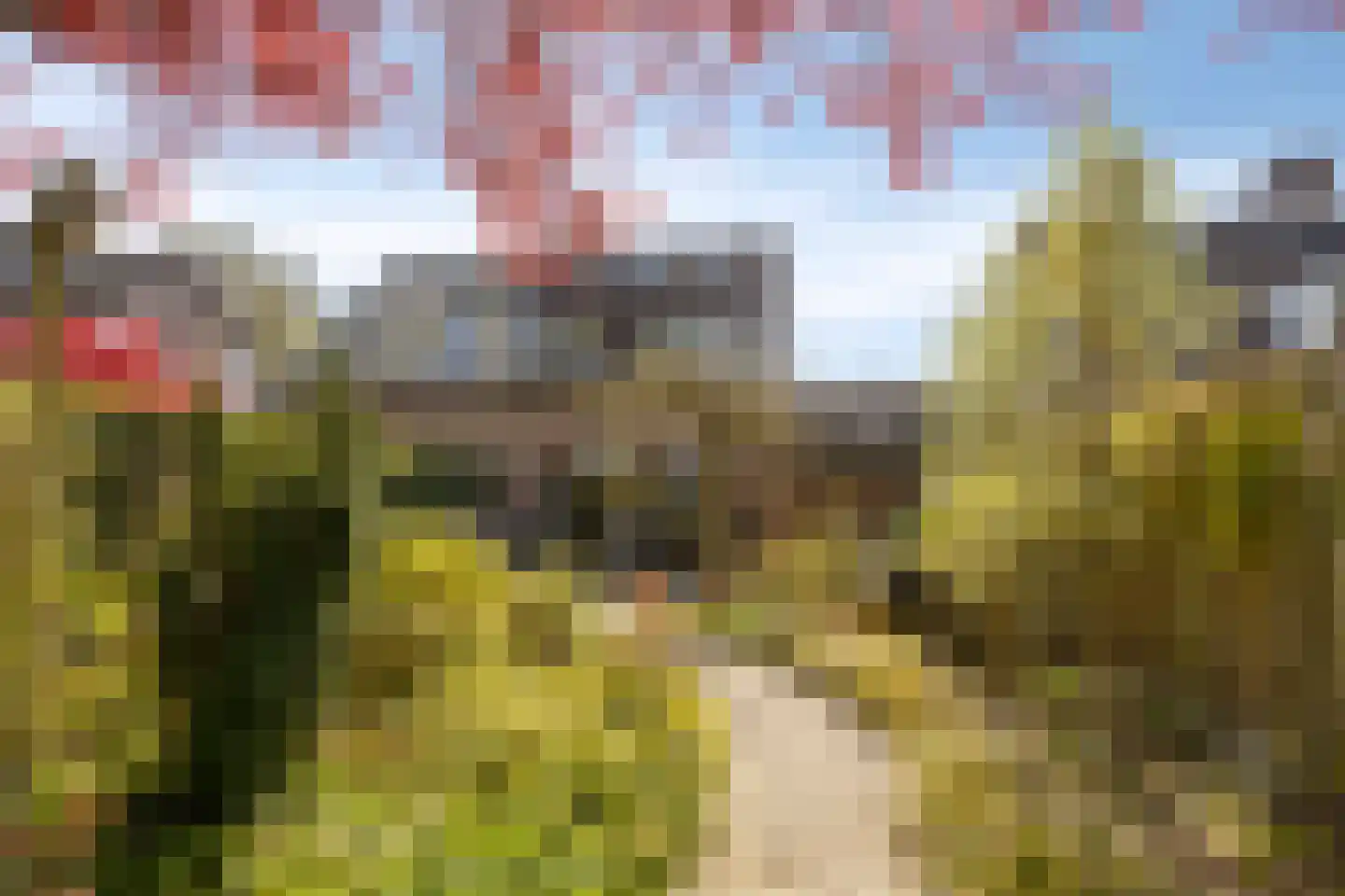 Drontenhof 5 Tilburg thumbnail 47