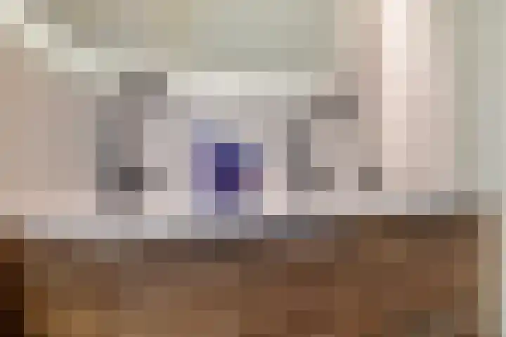 Drontermeer 1 Amersfoort thumbnail 27