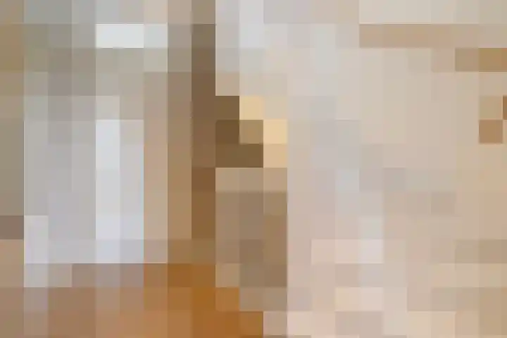 Drontermeer 1 Amersfoort thumbnail 28