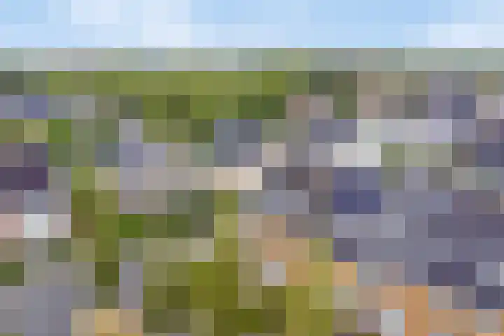 Drontermeer 1 Amersfoort thumbnail 44