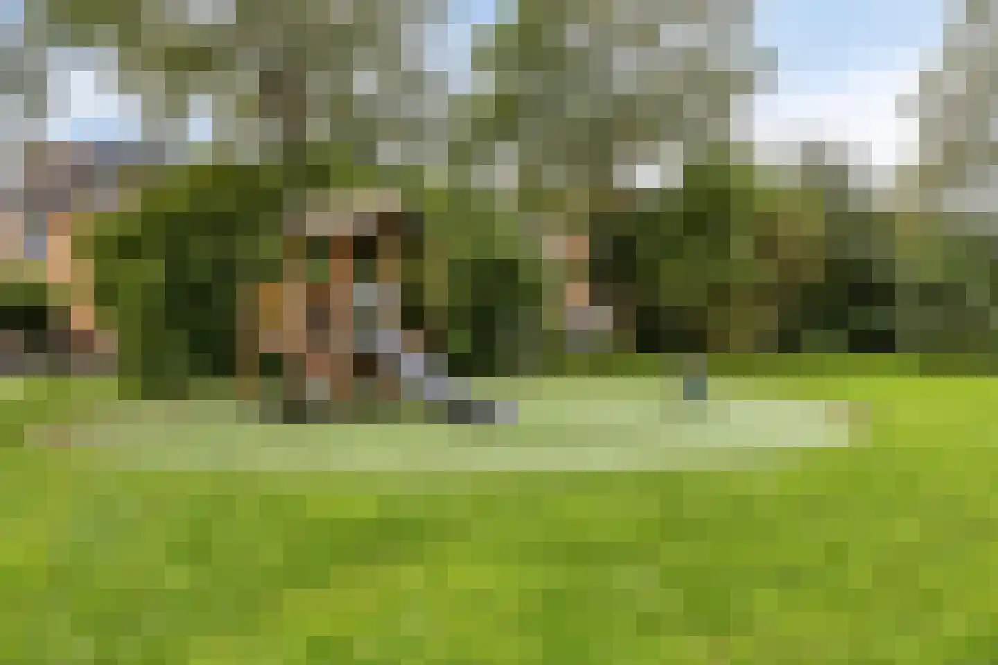 Drontermeer 114 Purmerend thumbnail 39