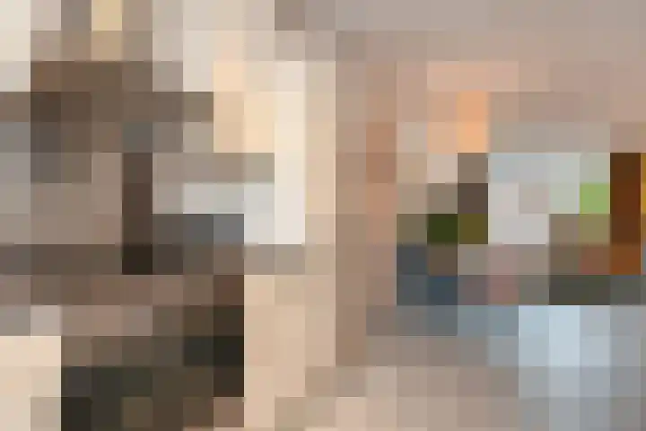 Drontermeer 12 Zoetermeer thumbnail 12