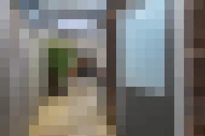 Drontermeer 12 Zoetermeer thumbnail 25