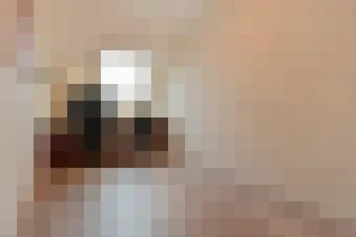 Drontermeer 12 Zoetermeer thumbnail 30