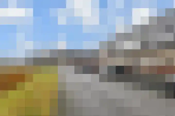Drontermeer 12 Zoetermeer thumbnail 39