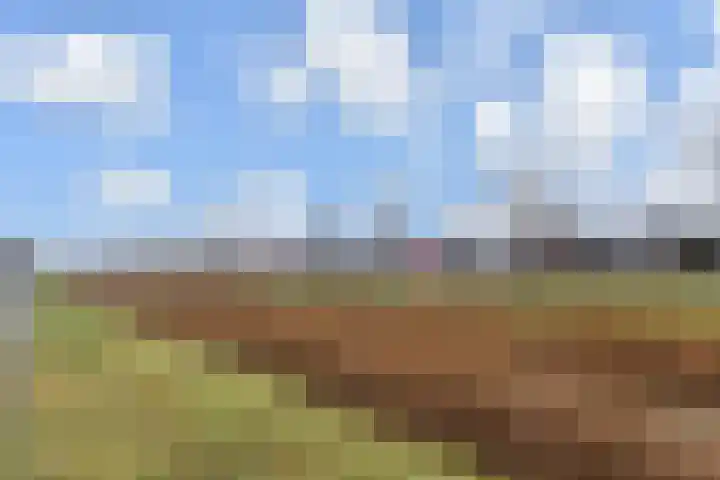 Drontermeer 12 Zoetermeer thumbnail 41