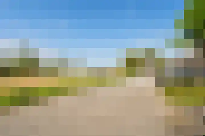 Drontermeer 18 Zoetermeer thumbnail 40